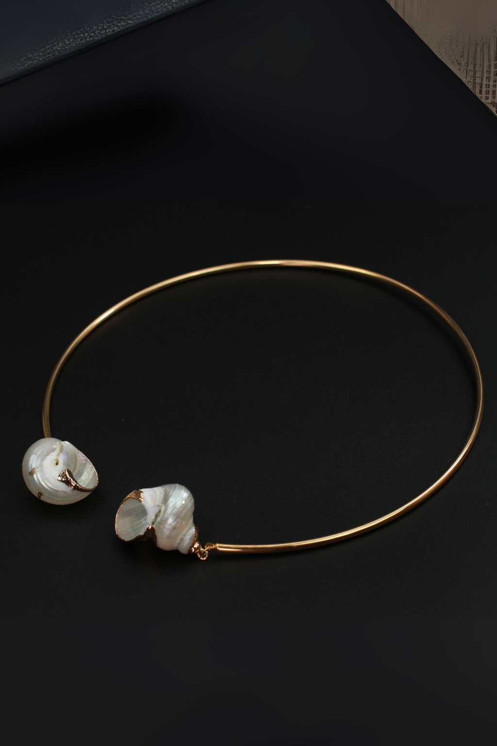 Minimal Golden Shell-End Choker Necklace for Women