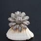Silver Daisy Textured Adjustable Ring