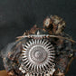 Oxidised German Silver Hansli Necklace with Sunburst Pendant