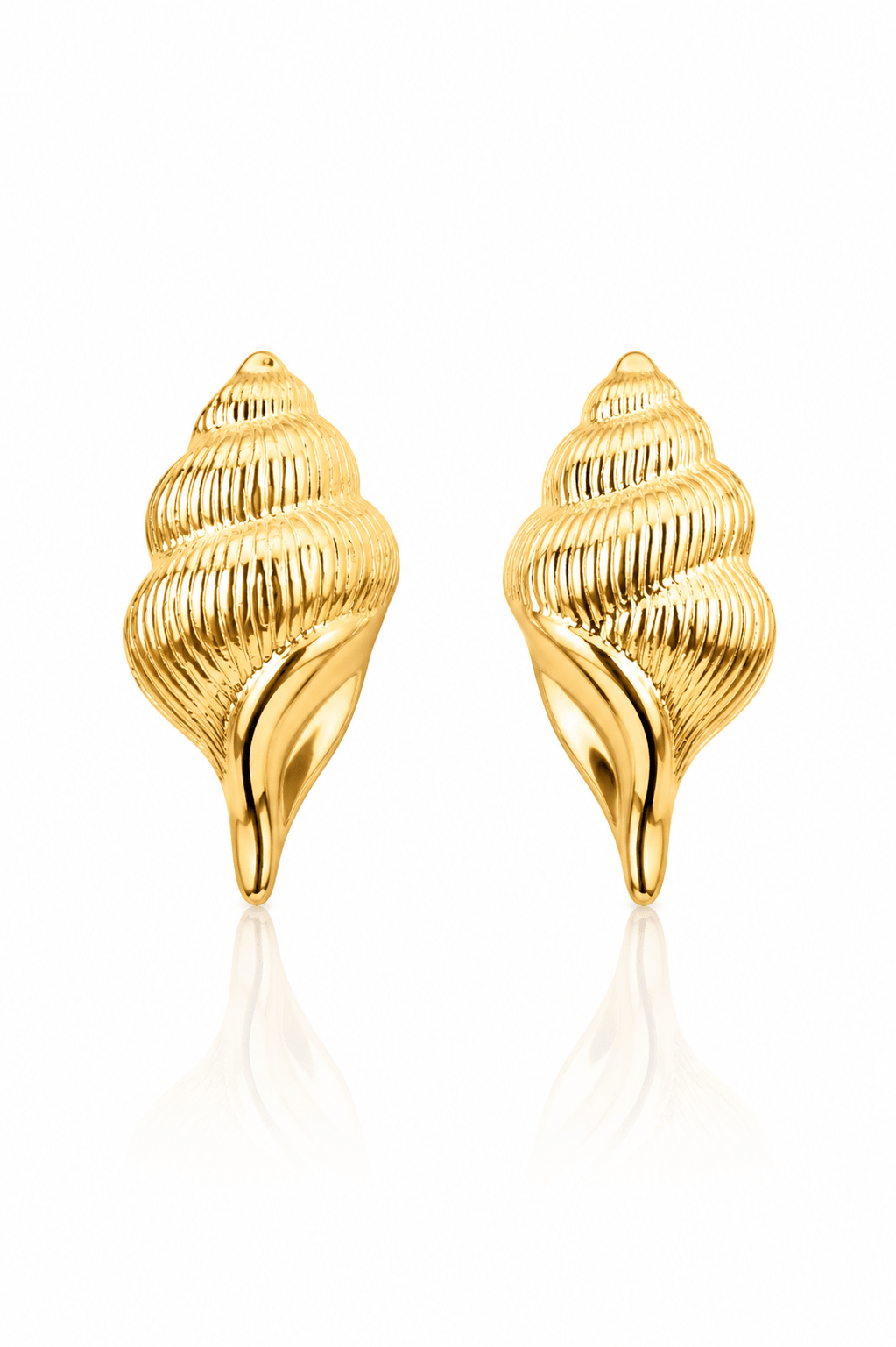 Conch Shell Stud Earrings – 18K Gold Plated - Maxiblink
