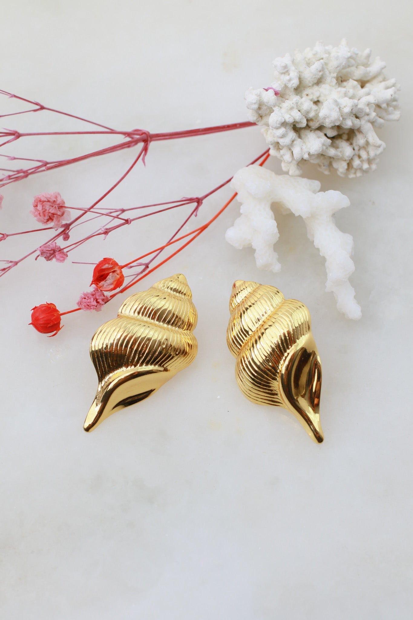 Conch Shell Stud Earrings – 18K Gold Plated - Maxiblink