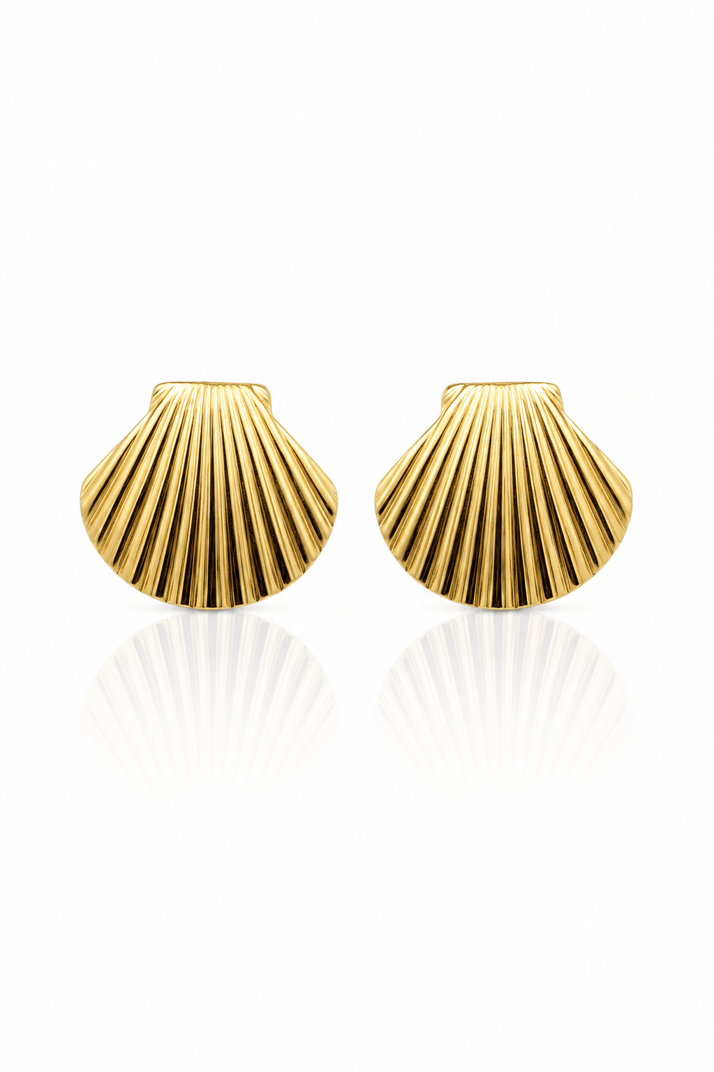 Scallop Shell Stud Earrings – 18K Gold Plated - Maxiblink